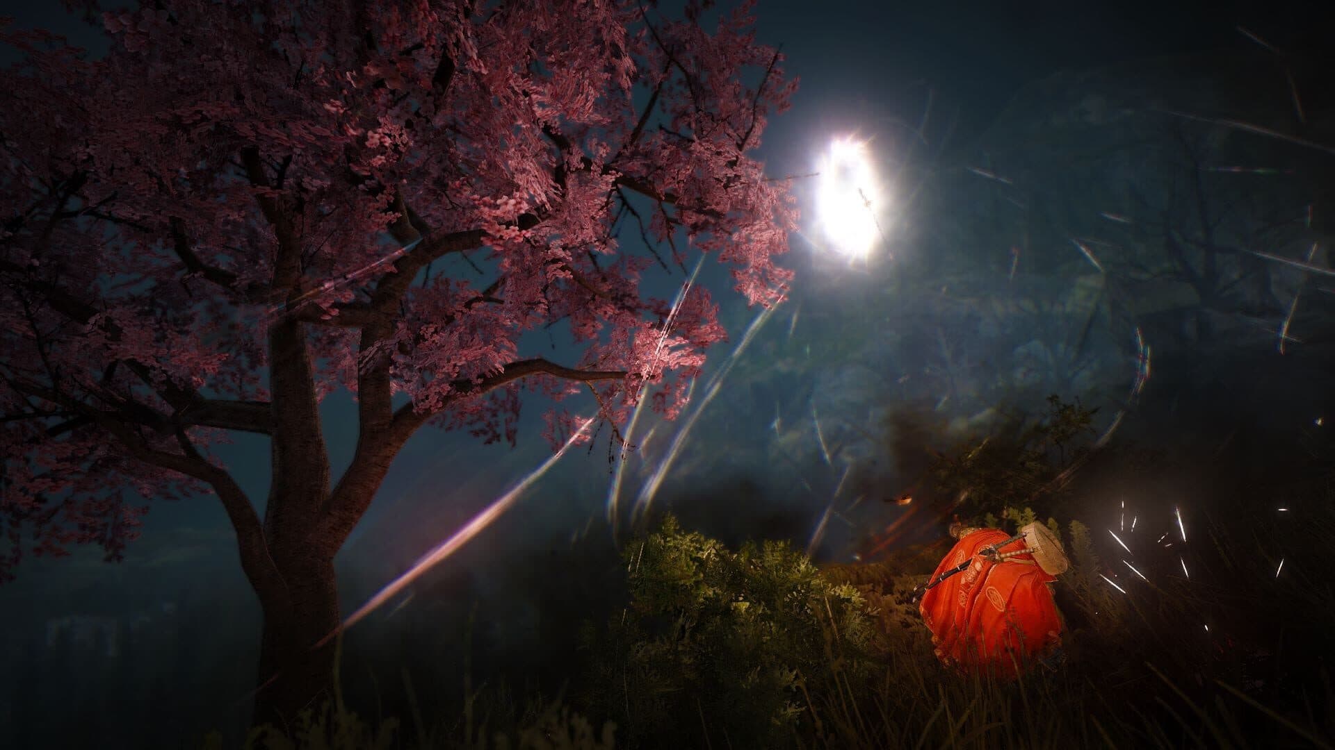 El mundo abierto de Black Desert, con su motor gráfico propio y su clima dinámico.